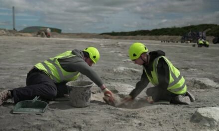 UK’s Largest Dinosaur Footprint Discovery: A Journey Into the Jurassic Era